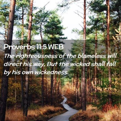 Picture 02 - Proverbs 11:5 WEB - The righteousness of the blameless will direct - Bible Verse Picture