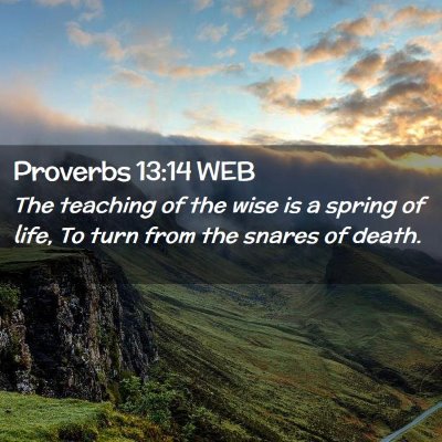 Picture 02 - Proverbs 13:14 WEB - The teaching of the wise is a spring of life, To - Bible Verse Picture