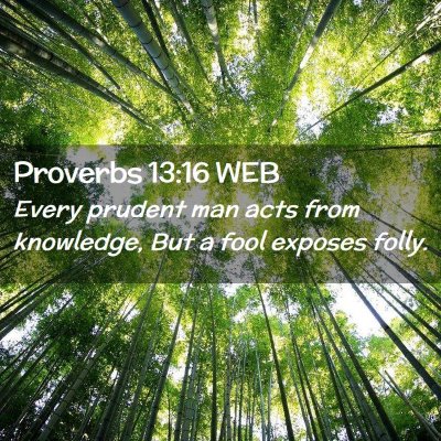 Picture 02 - Proverbs 13:16 WEB - Every prudent man acts from knowledge, But a fool - Bible Verse Picture