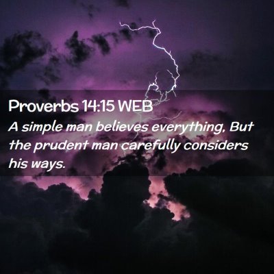 Picture 02 - Proverbs 14:15 WEB - A simple man believes everything, But the prudent - Bible Verse Picture