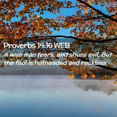 Picture 02 - Proverbs 14:16 WEB - A wise man fears, and shuns evil, But the fool is - Bible Verse Picture