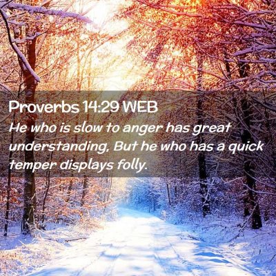 Picture 02 - Proverbs 14:29 WEB - He who is slow to anger has great understanding, - Bible Verse Picture