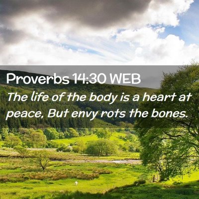 Picture 02 - Proverbs 14:30 WEB - The life of the body is a heart at peace, But - Bible Verse Picture