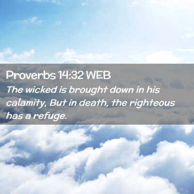 Picture 02 - Proverbs 14:32 WEB - The wicked is brought down in his calamity, But - Bible Verse Picture