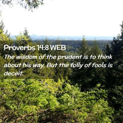 Picture 02 - Proverbs 14:8 WEB - The wisdom of the prudent is to think about his - Bible Verse Picture