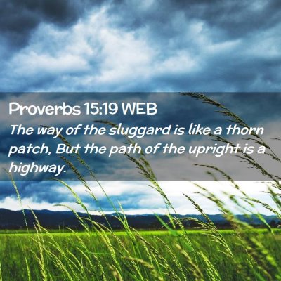 Picture 02 - Proverbs 15:19 WEB - The way of the sluggard is like a thorn patch, - Bible Verse Picture