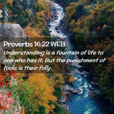 Picture 02 - Proverbs 16:22 WEB - Understanding is a fountain of life to one who - Bible Verse Picture
