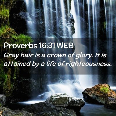 Picture 02 - Proverbs 16:31 WEB - Gray hair is a crown of glory. It is attained by - Bible Verse Picture