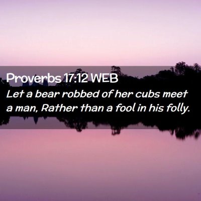 Picture 02 - Proverbs 17:12 WEB - Let a bear robbed of her cubs meet a man, Rather - Bible Verse Picture
