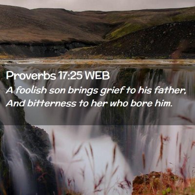 Picture 02 - Proverbs 17:25 WEB - A foolish son brings grief to his father, And - Bible Verse Picture
