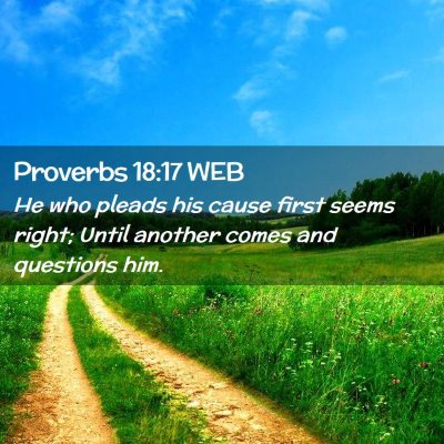 Picture 02 - Proverbs 18:17 WEB - He who pleads his cause first seems right; Until - Bible Verse Picture