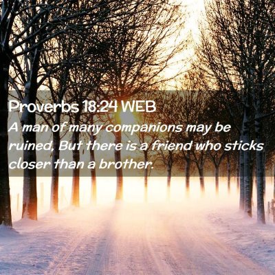 Picture 02 - Proverbs 18:24 WEB - A man of many companions may be ruined, But there - Bible Verse Picture