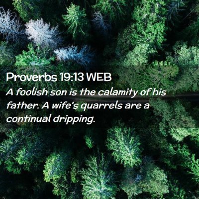 Picture 02 - Proverbs 19:13 WEB - A foolish son is the calamity of his father. A - Bible Verse Picture