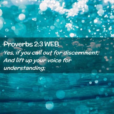 Picture 02 - Proverbs 2:3 WEB - Yes, if you call out for discernment, And lift up - Bible Verse Picture