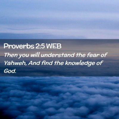 Picture 02 - Proverbs 2:5 WEB - Then you will understand the fear of Yahweh, And - Bible Verse Picture