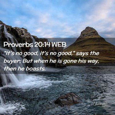 Picture 02 - Proverbs 20:14 WEB - 