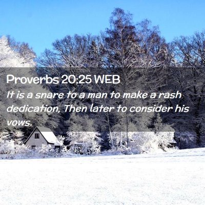 Picture 02 - Proverbs 20:25 WEB - It is a snare to a man to make a rash dedication, - Bible Verse Picture