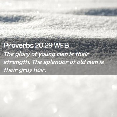 Picture 02 - Proverbs 20:29 WEB - The glory of young men is their strength. The - Bible Verse Picture
