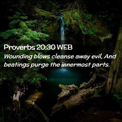 Picture 02 - Proverbs 20:30 WEB - Wounding blows cleanse away evil, And beatings - Bible Verse Picture