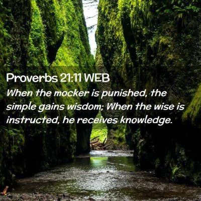 Picture 02 - Proverbs 21:11 WEB - When the mocker is punished, the simple gains - Bible Verse Picture