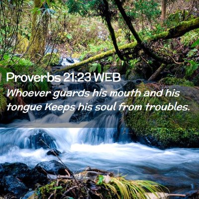 Picture 02 - Proverbs 21:23 WEB - Whoever guards his mouth and his tongue Keeps his - Bible Verse Picture