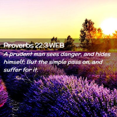 Picture 02 - Proverbs 22:3 WEB - A prudent man sees danger, and hides himself; But - Bible Verse Picture