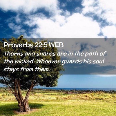 Picture 02 - Proverbs 22:5 WEB - Thorns and snares are in the path of the wicked: - Bible Verse Picture