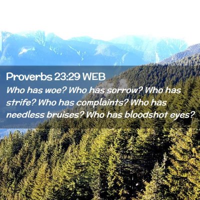 Picture 02 - Proverbs 23:29 WEB - Who has woe? Who has sorrow? Who has strife? Who - Bible Verse Picture