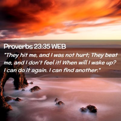 Picture 02 - Proverbs 23:35 WEB - 