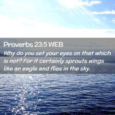 Picture 02 - Proverbs 23:5 WEB - Why do you set your eyes on that which is not? - Bible Verse Picture