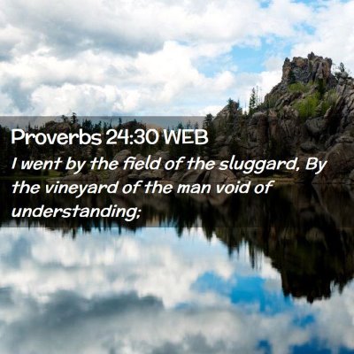 Picture 02 - Proverbs 24:30 WEB - I went by the field of the sluggard, By the - Bible Verse Picture