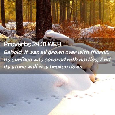 Picture 02 - Proverbs 24:31 WEB - Behold, it was all grown over with thorns. Its - Bible Verse Picture