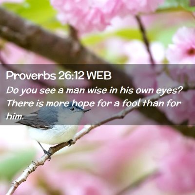 Picture 02 - Proverbs 26:12 WEB - Do you see a man wise in his own eyes? There is - Bible Verse Picture