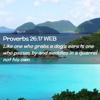 Picture 02 - Proverbs 26:17 WEB - Like one who grabs a dog's ears Is one who passes - Bible Verse Picture