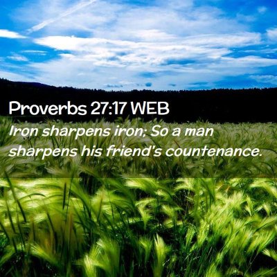 Picture 02 - Proverbs 27:17 WEB - Iron sharpens iron; So a man sharpens his - Bible Verse Picture