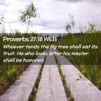 Picture 02 - Proverbs 27:18 WEB - Whoever tends the fig tree shall eat its fruit. - Bible Verse Picture