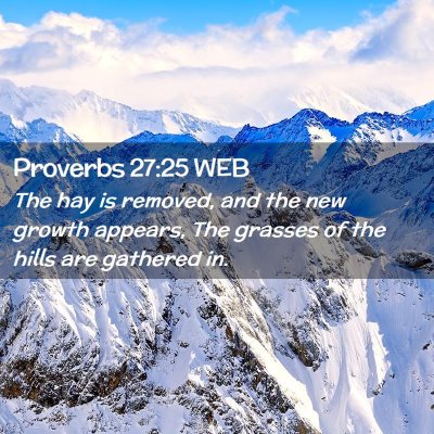 Picture 02 - Proverbs 27:25 WEB - The hay is removed, and the new growth appears, - Bible Verse Picture