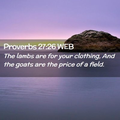 Picture 02 - Proverbs 27:26 WEB - The lambs are for your clothing, And the goats - Bible Verse Picture