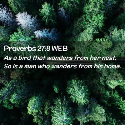 Picture 02 - Proverbs 27:8 WEB - As a bird that wanders from her nest, So is a man - Bible Verse Picture