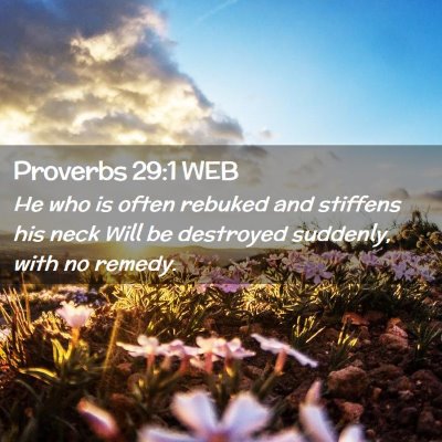 Picture 02 - Proverbs 29:1 WEB - He who is often rebuked and stiffens his neck - Bible Verse Picture