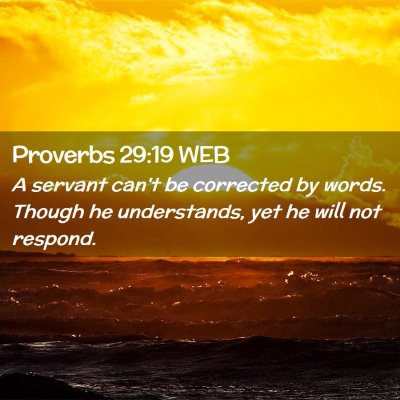 Picture 02 - Proverbs 29:19 WEB - A servant can't be corrected by words. Though he - Bible Verse Picture