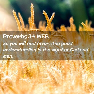 Picture 02 - Proverbs 3:4 WEB - So you will find favor, And good understanding in - Bible Verse Picture