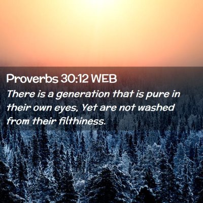 Picture 02 - Proverbs 30:12 WEB - There is a generation that is pure in their own - Bible Verse Picture