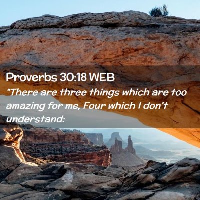 Picture 02 - Proverbs 30:18 WEB - 