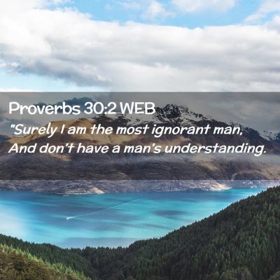 Picture 02 - Proverbs 30:2 WEB - 