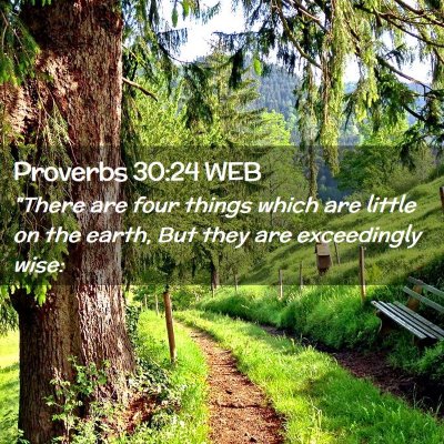 Picture 02 - Proverbs 30:24 WEB - 