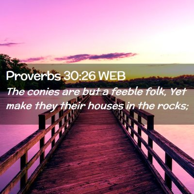 Picture 02 - Proverbs 30:26 WEB - The conies are but a feeble folk, Yet make they - Bible Verse Picture