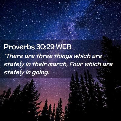 Picture 02 - Proverbs 30:29 WEB - 