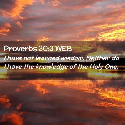 Picture 02 - Proverbs 30:3 WEB - I have not learned wisdom, Neither do I have the - Bible Verse Picture