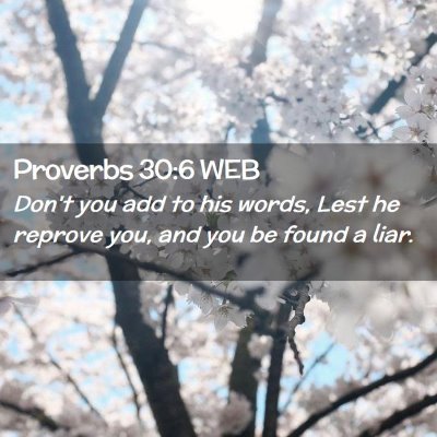 Picture 02 - Proverbs 30:6 WEB - Don't you add to his words, Lest he reprove you, - Bible Verse Picture